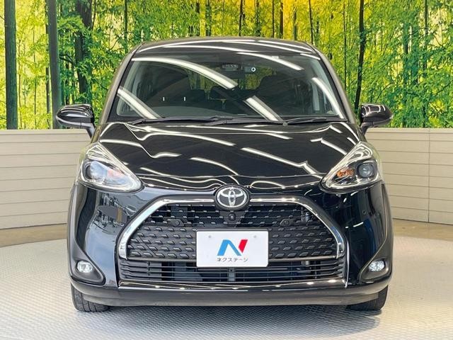 25527269_carP_l_9.jpg
