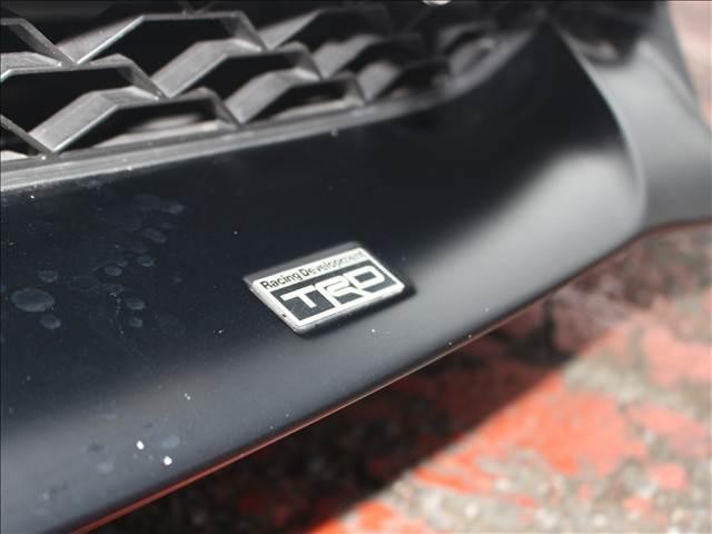 25484883_carP_l_10.jpg