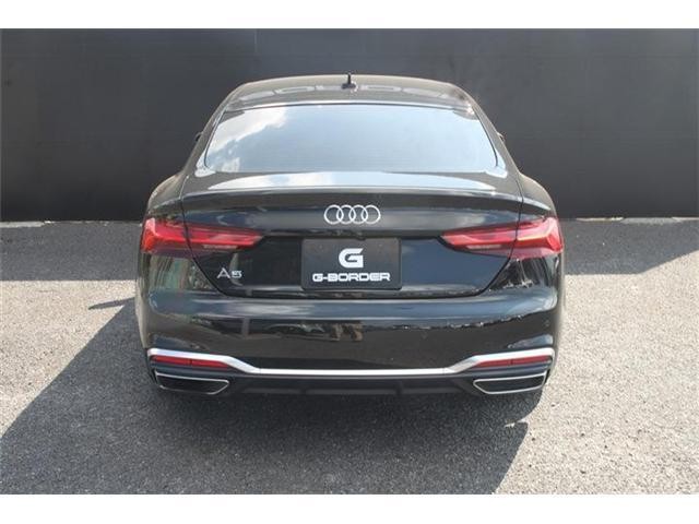 26994857_carP_l_19.jpg