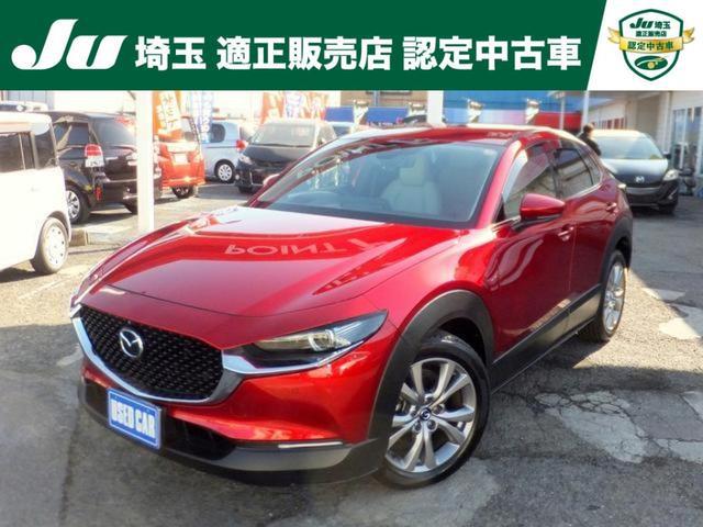 26028148_carP_l_1.jpg