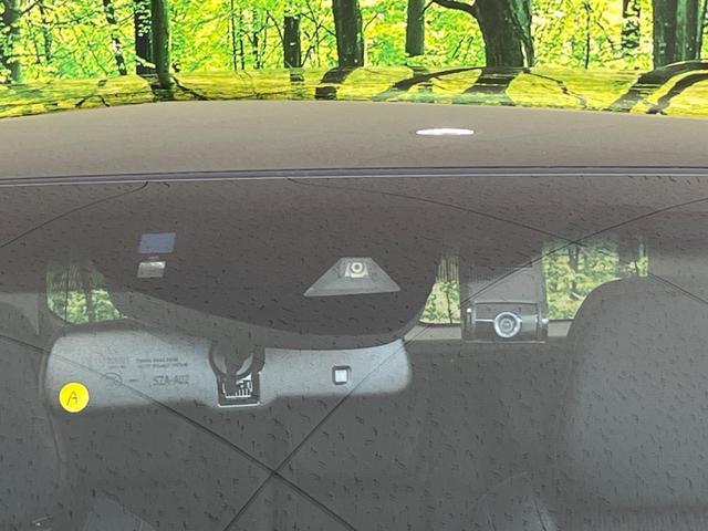 23595966_carP_l_15.jpg