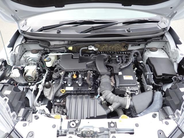 26028728_carP_l_17.jpg