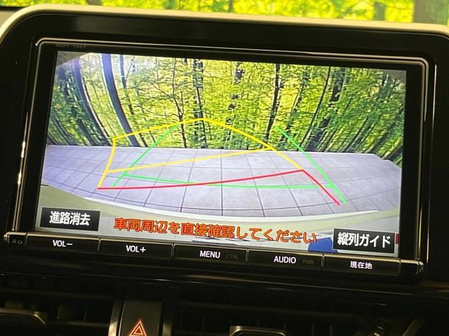 24219155_carP_l_4.jpg