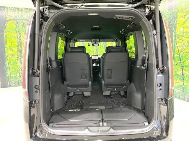 25384080_carP_l_6.jpg