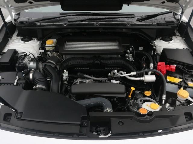 26028799_carP_l_17.jpg