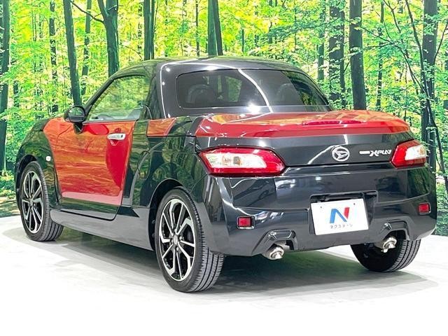 25384082_carP_l_11.jpg