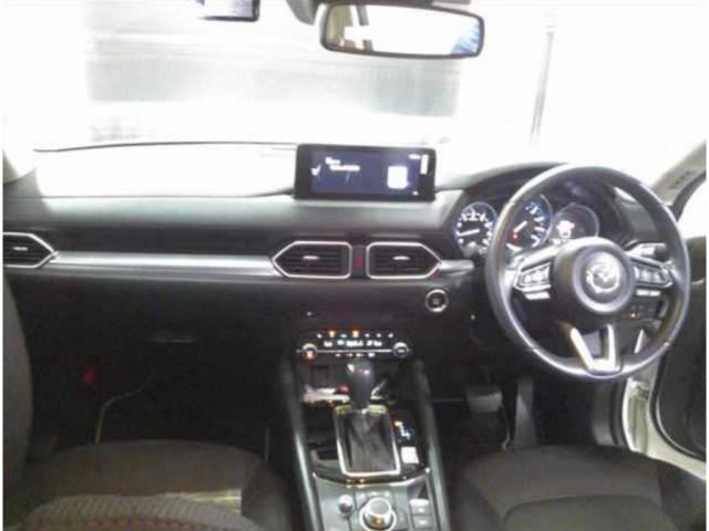 25199205_carP_l_15.jpg