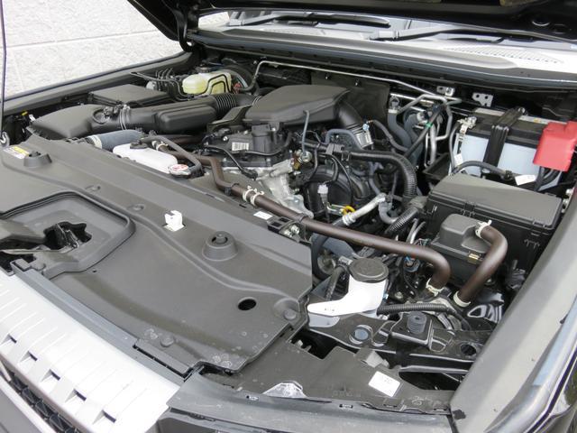 0500323A30260407W00117.jpg