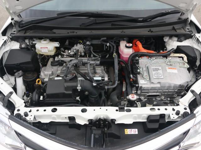 23889994_carP_l_17.jpg