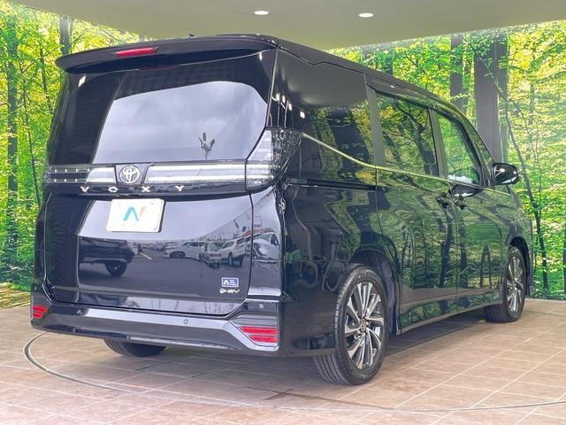 24995488_carP_l_16.jpg