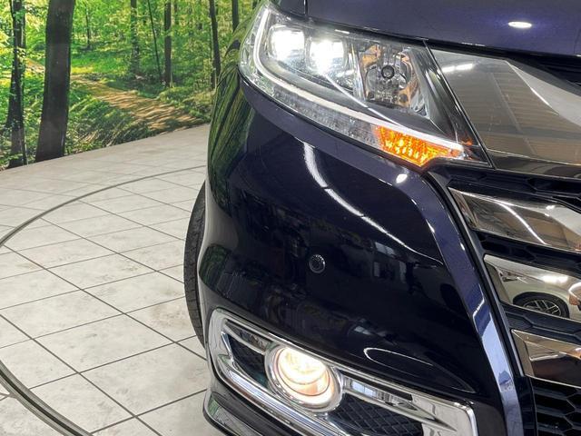 24051397_carP_l_7.jpg