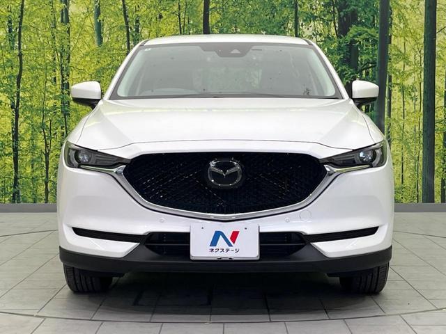 22799743_carP_l_8.jpg