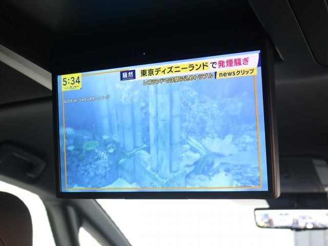 26028812_carP_l_12.jpg