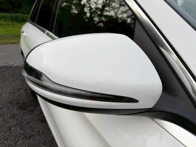 24995575_carP_l_15.jpg