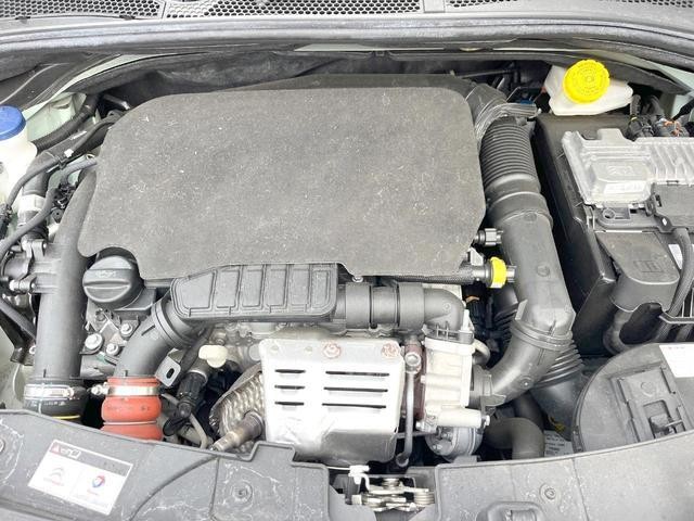 26815845_carP_l_16.jpg