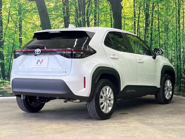 24808153_carP_l_12.jpg