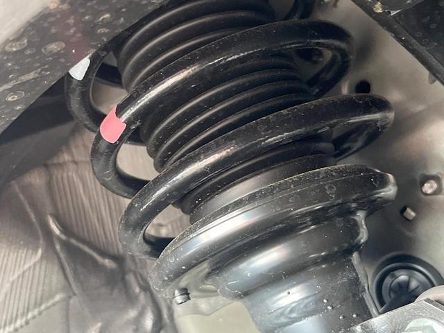 25591580_carP_l_20.jpg