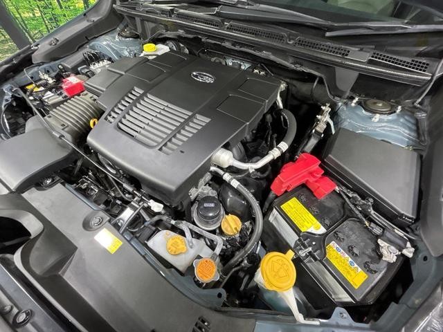 23556168_carP_l_18.jpg