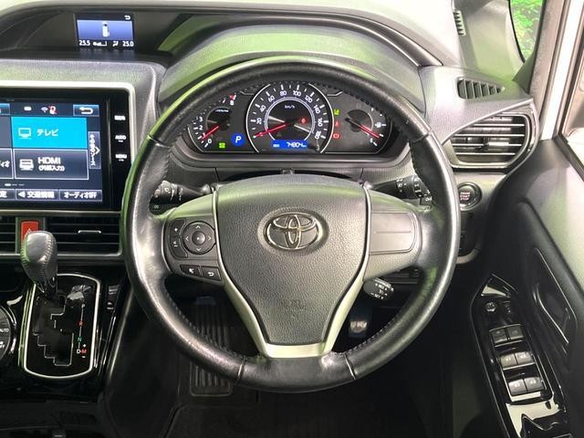 25942333_carP_l_6.jpg