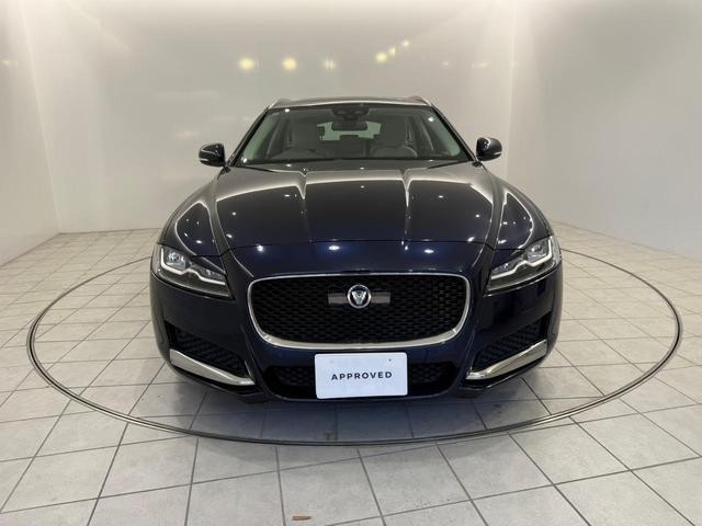 25384149_carP_l_15.jpg