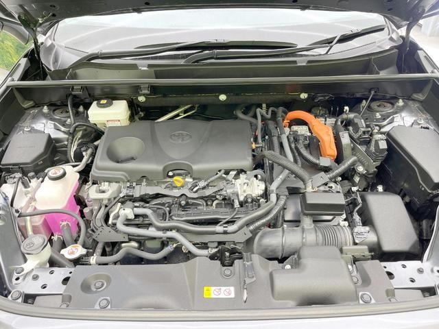 25283546_carP_l_12.jpg