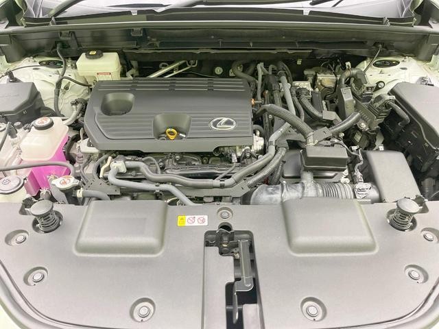 25754578_carP_l_16.jpg