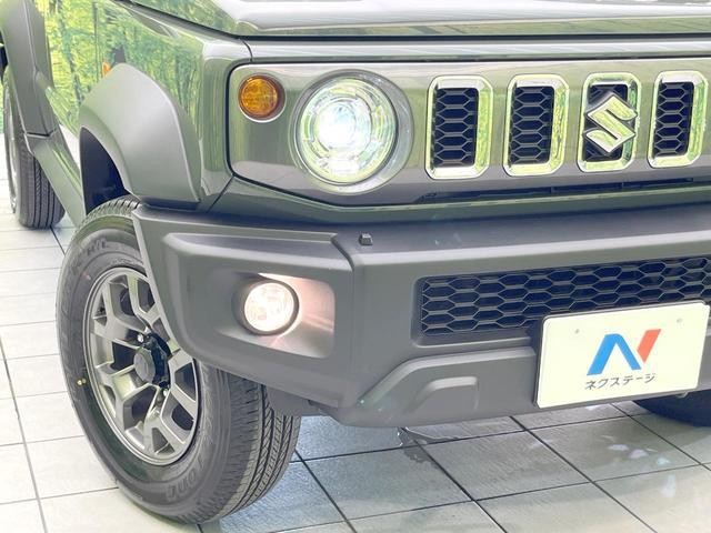 25283547_carP_l_6.jpg