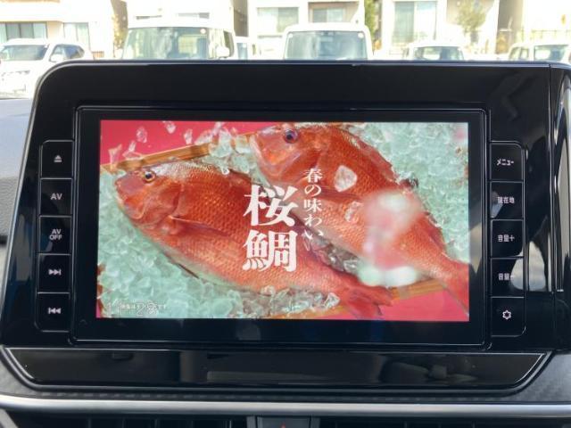22744626_carP_l_7.jpg
