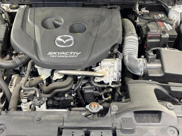 23904789_carP_l_16.jpg