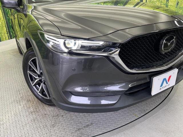 22855714_carP_l_7.jpg