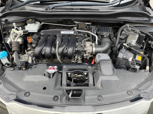 25774752_carP_l_18.jpg