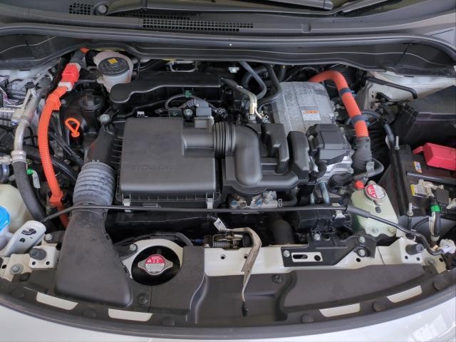26121856_carP_l_17.jpg