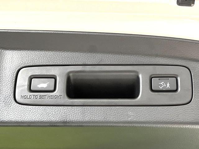 24340337_carP_l_10.jpg