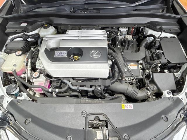 25591981_carP_l_18.jpg
