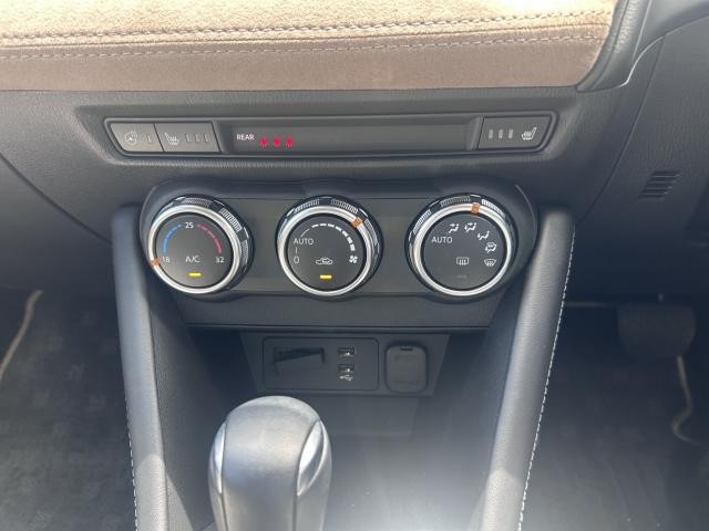 25885102_carP_l_8.jpg