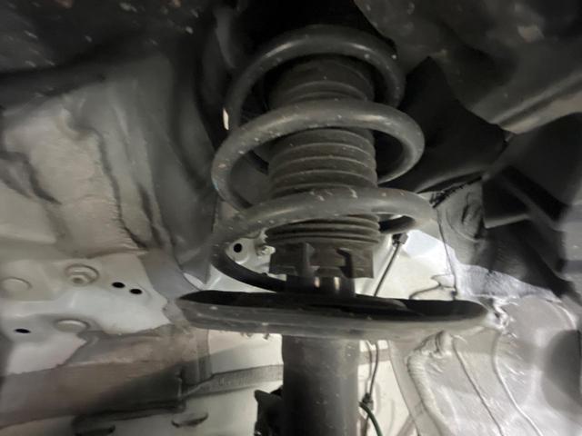 24219177_carP_l_20.jpg