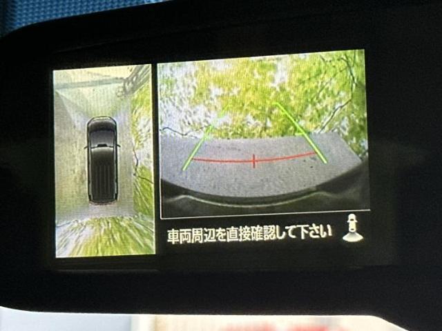 22805099_carP_l_8.jpg
