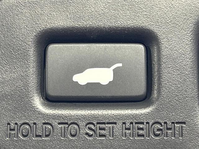 25754923_carP_l_17.jpg