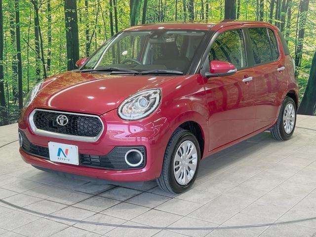 23497729_carP_l_11.jpg