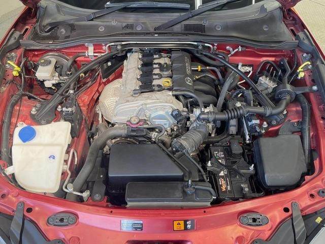 27011322_carP_l_18.jpg