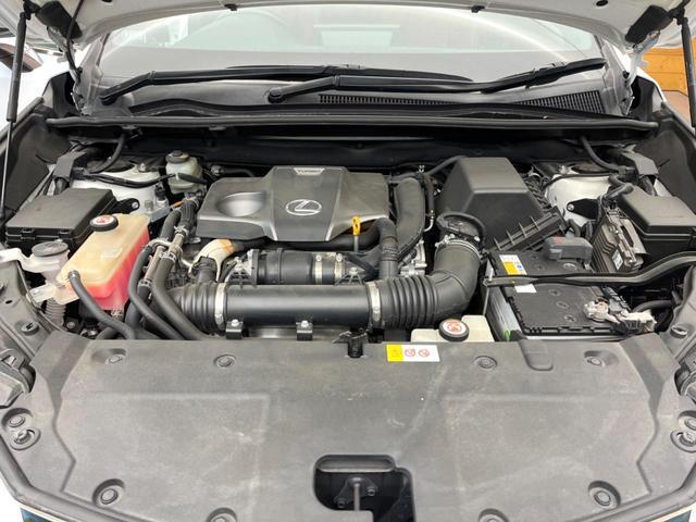 23225876_carP_l_16.jpg