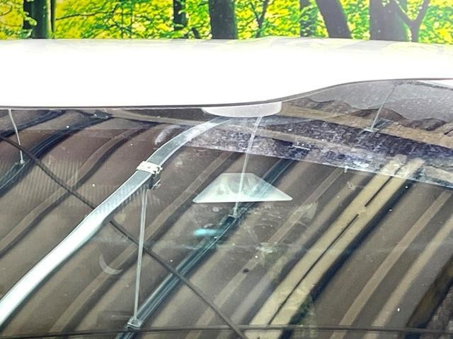 26106109_carP_l_13.jpg
