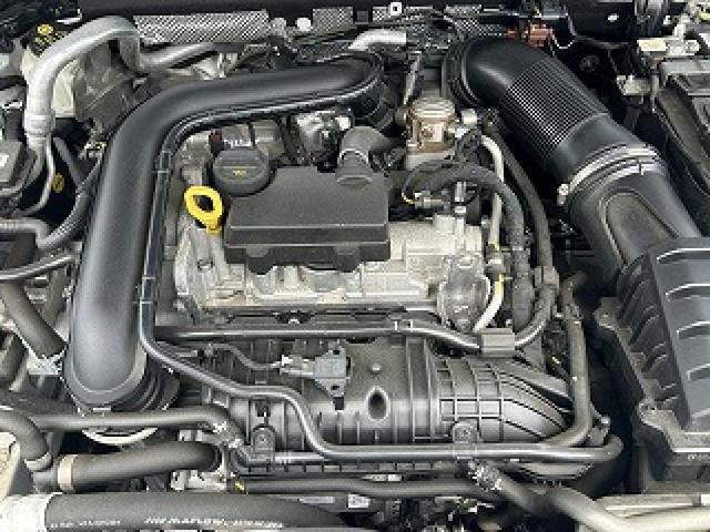 24536948_carP_l_12.jpg