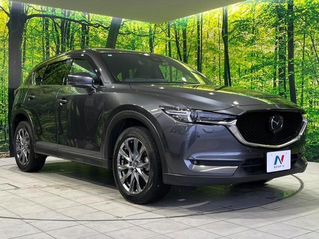 25549834_carP_l_11.jpg