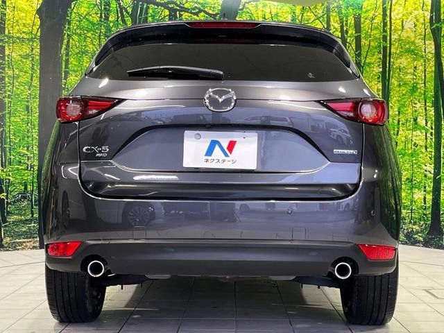 25549834_carP_l_9.jpg