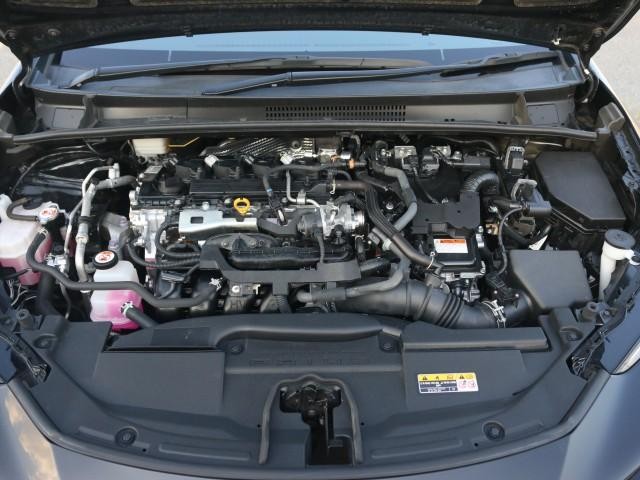 26215573_carP_l_17.jpg