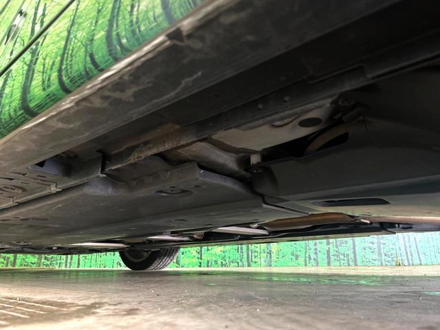 23694822_carP_l_20.jpg