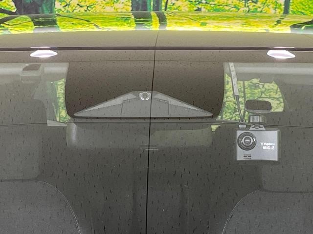 26230700_carP_l_15.jpg