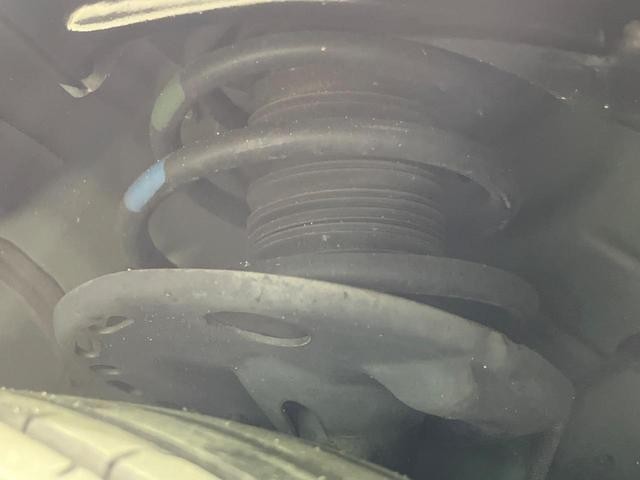 25384332_carP_l_20.jpg