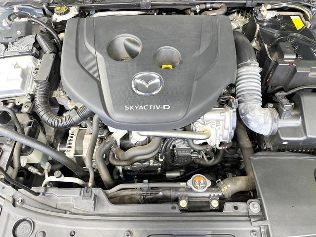 24706469_carP_l_16.jpg